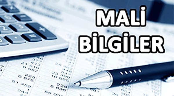eminol-grup-mali-bilgiler